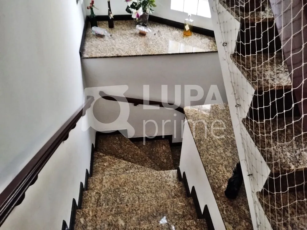 Casa, 3 quartos, 391 m² - Foto 18