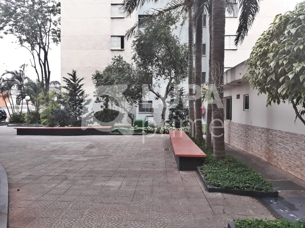 Apartamento, 3 quartos, 61 m² - Foto 19