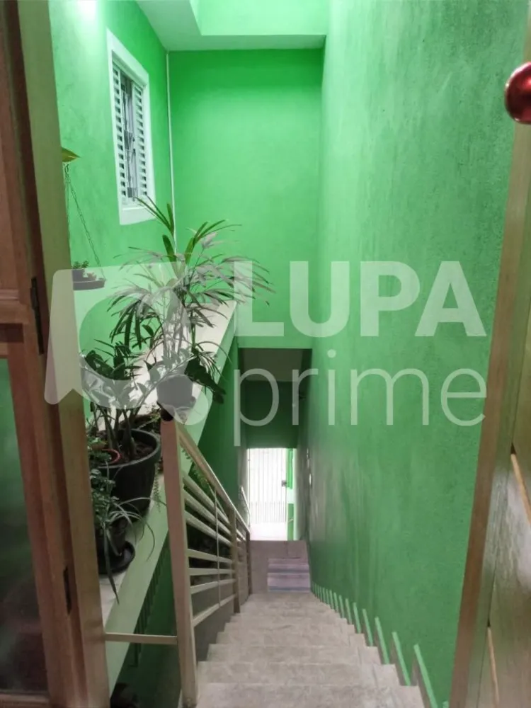 Casa, 3 quartos, 260 m² - Foto 4