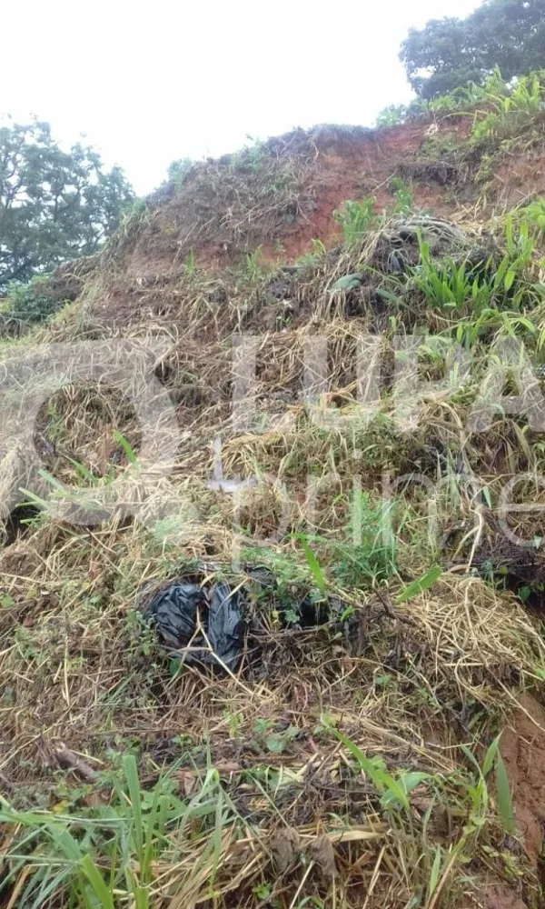 Terreno, 445 m² - Foto 12