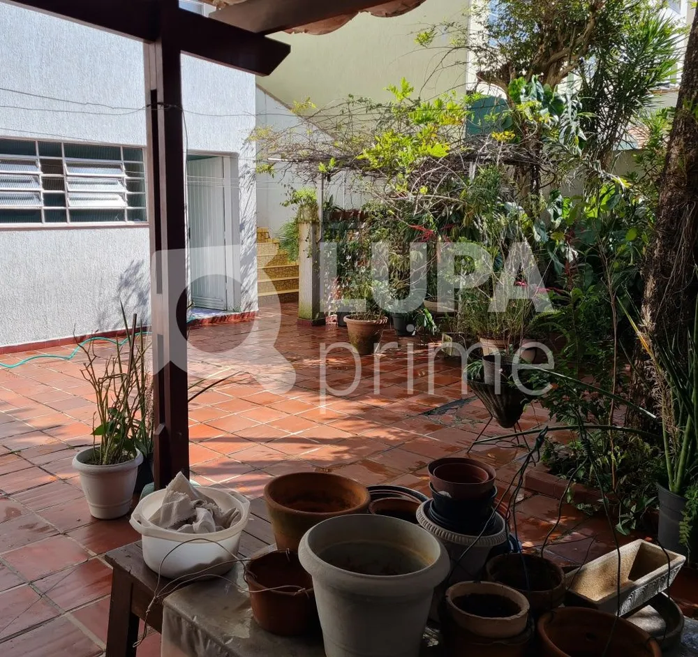 Casa, 4 quartos, 250 m² - Foto 8
