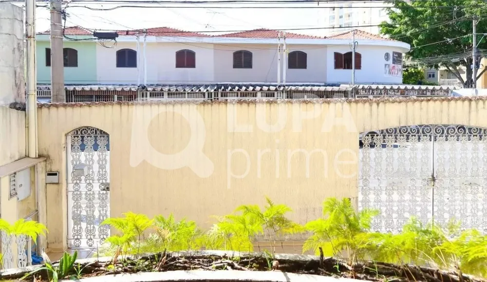 Casa, 3 quartos, 400 m² - Foto 6