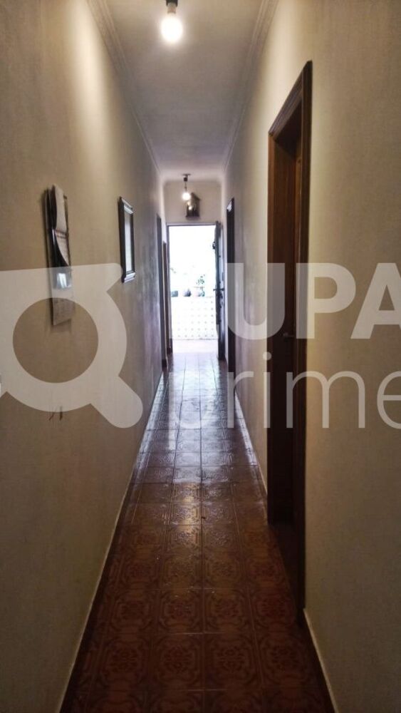 Casa, 4 quartos, 250 m² - Foto 6
