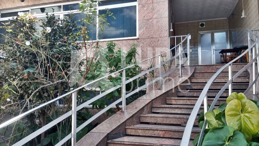 Casa, 4 quartos, 250 m² - Foto 11