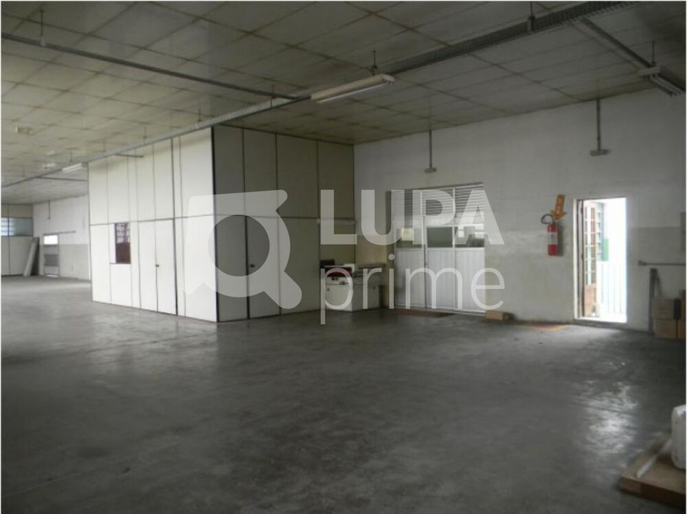 Sala-Conjunto, 1150 m² - Foto 1
