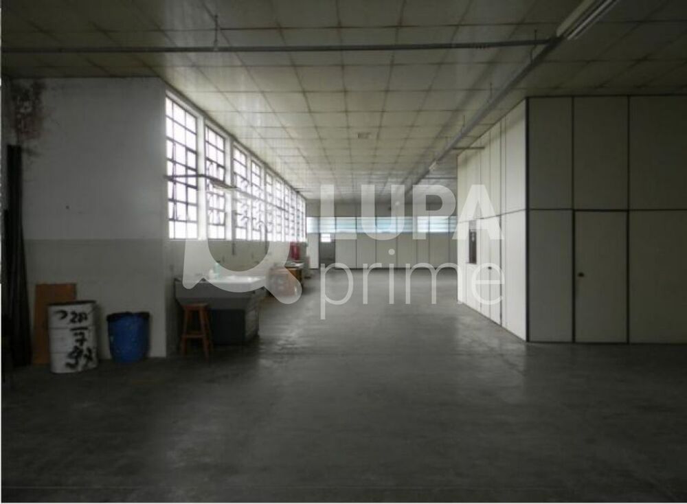 Sala-Conjunto, 1150 m² - Foto 2