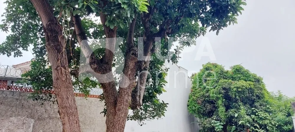 Terreno, 360 m² - Foto 4
