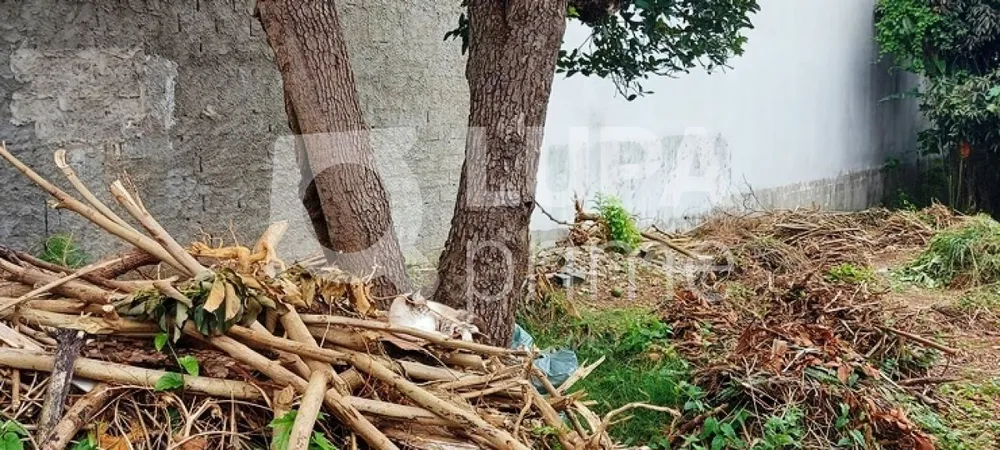 Terreno, 360 m² - Foto 9