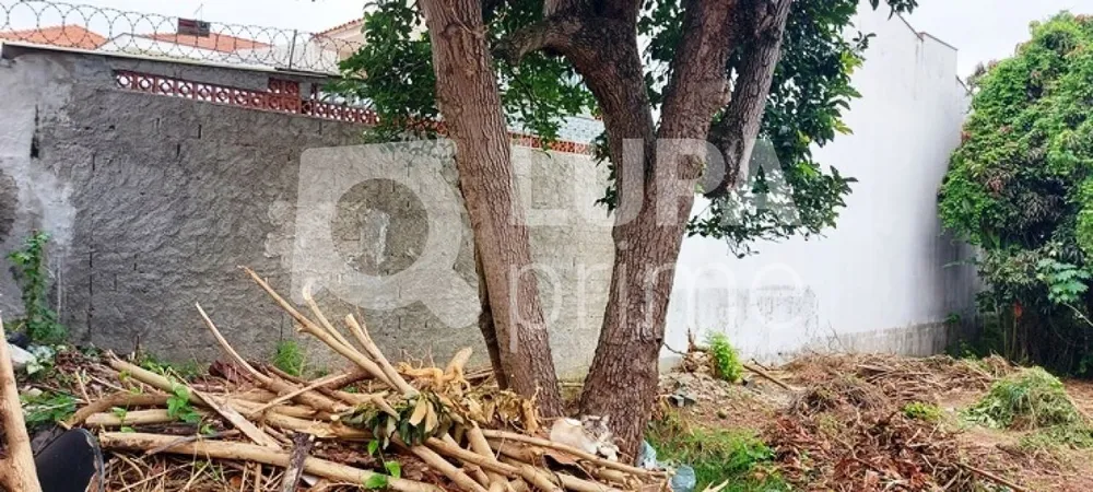 Terreno, 360 m² - Foto 3