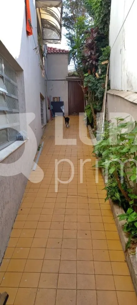 Casa, 4 quartos, 223 m² - Foto 3