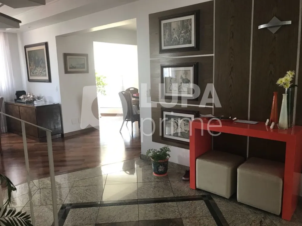 Apartamento, 3 quartos, 250 m² - Foto 10