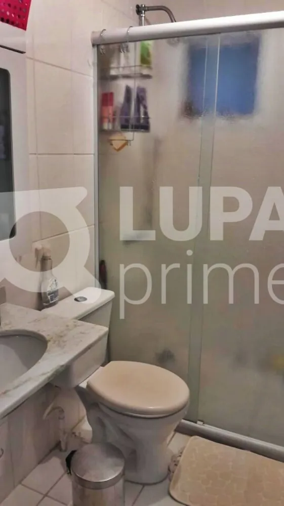 Apartamento, 3 quartos, 110 m² - Foto 10