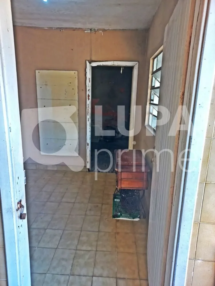 Casa, 3 quartos, 278 m² - Foto 9