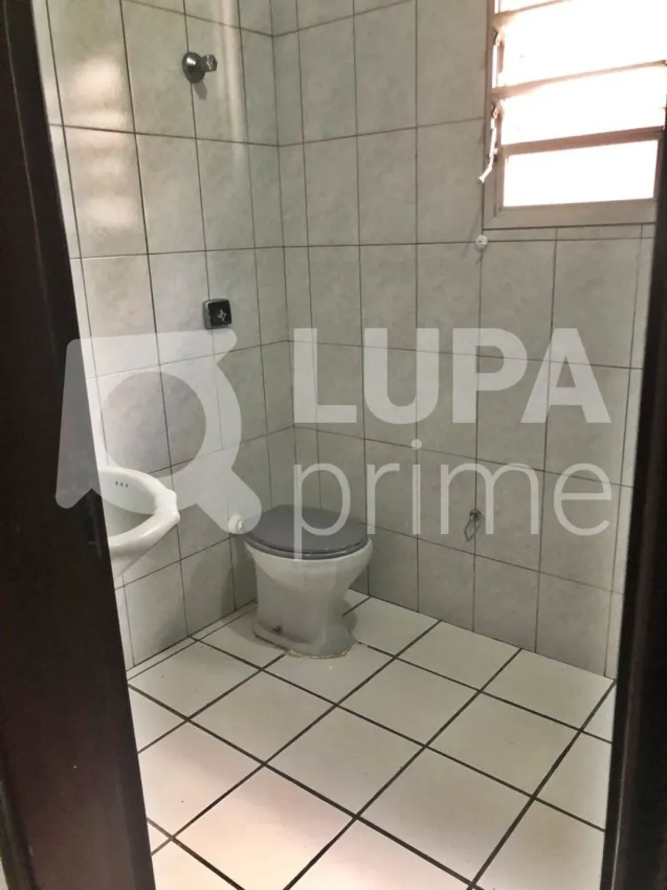 Casa, 4 quartos, 250 m² - Foto 10