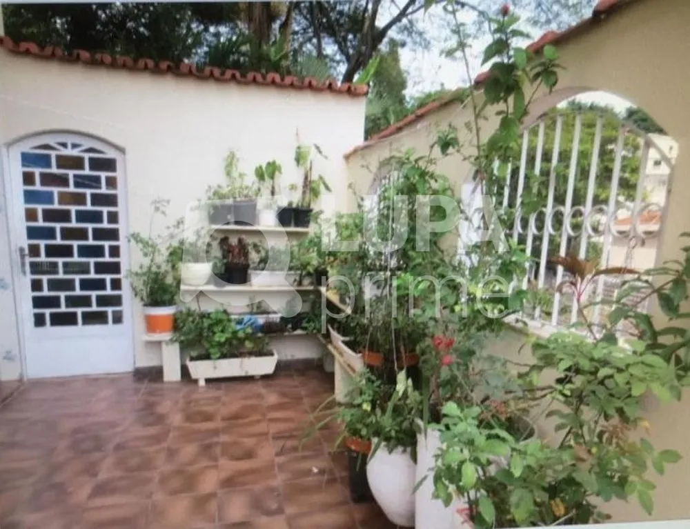 Casa, 4 quartos, 220 m² - Foto 11