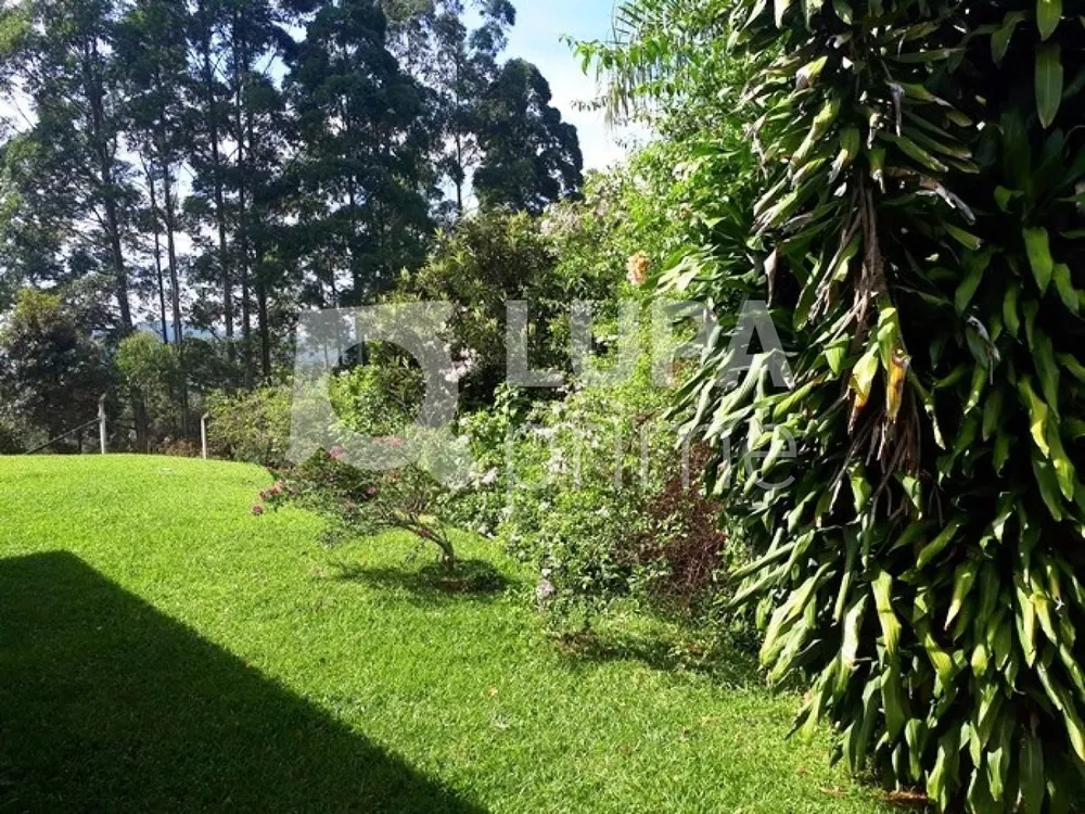 Chácara, 3 quartos, 2 hectares - Foto 4