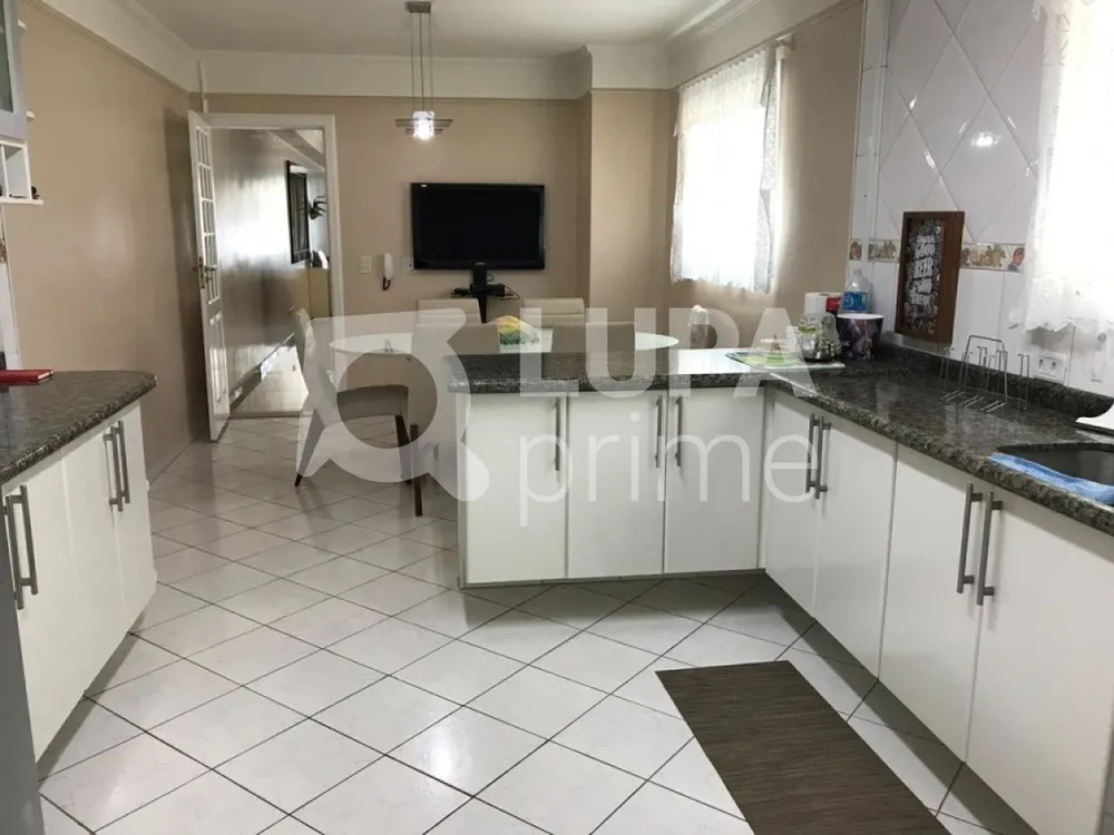 Casa, 3 quartos, 250 m² - Foto 3