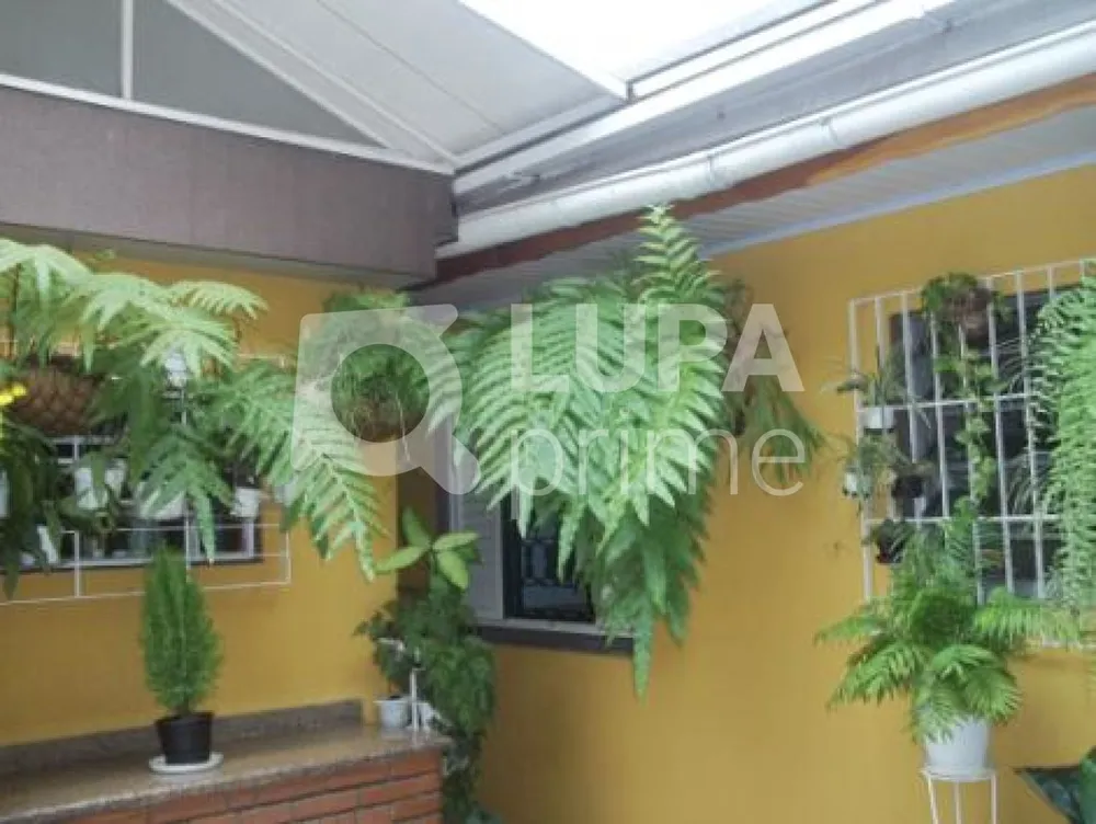 Casa, 5 quartos, 300 m² - Foto 13