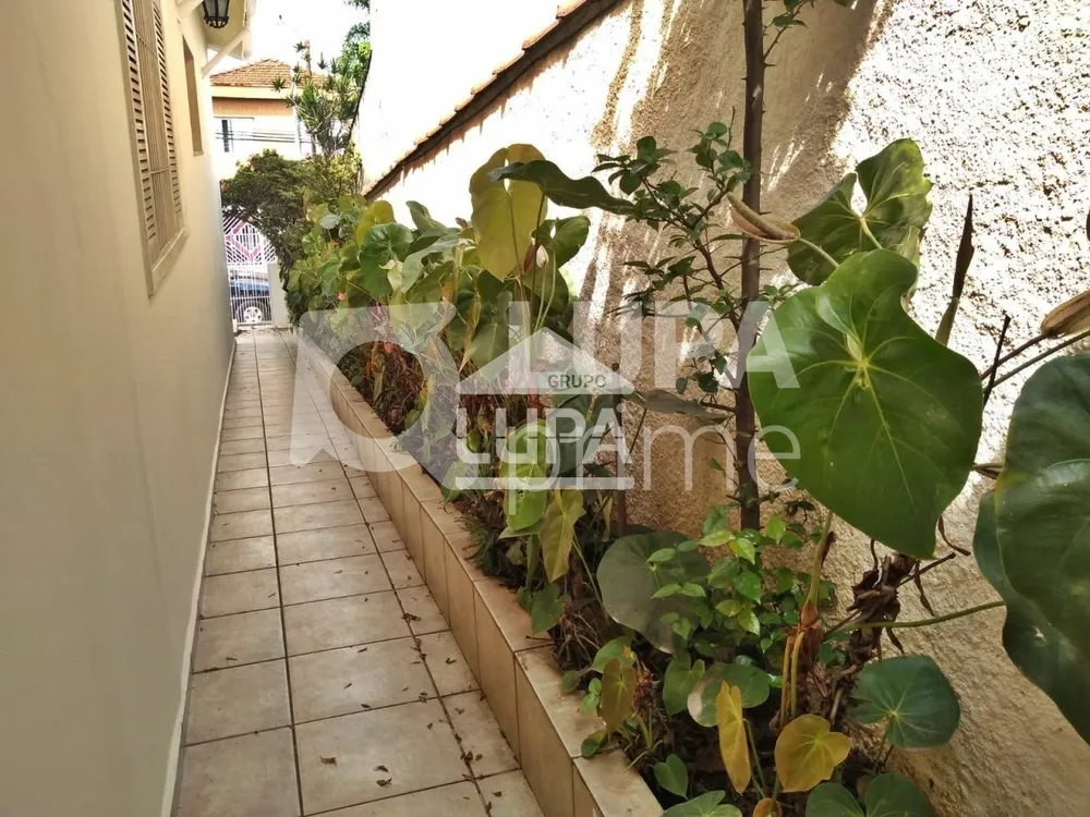 Casa, 2 quartos, 250 m² - Foto 12