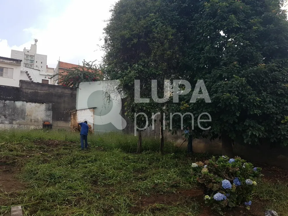 Terreno, 600 m² - Foto 7