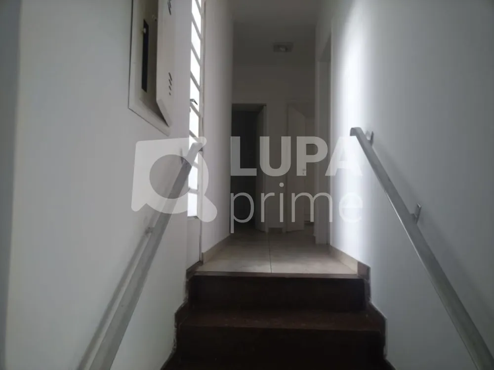 Casa, 3 quartos, 360 m² - Foto 8