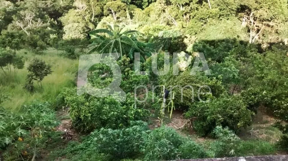 Casa, 2 quartos, 200 m² - Foto 5