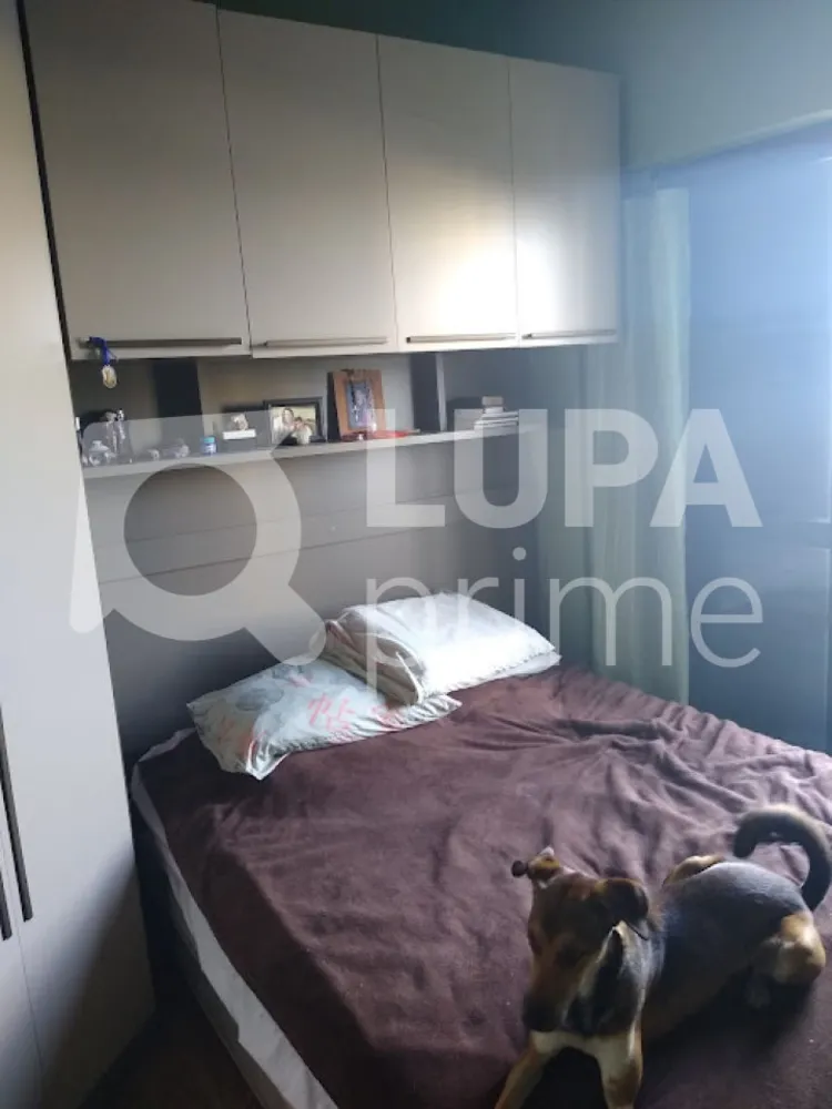 Casa, 3 quartos, 200 m² - Foto 8