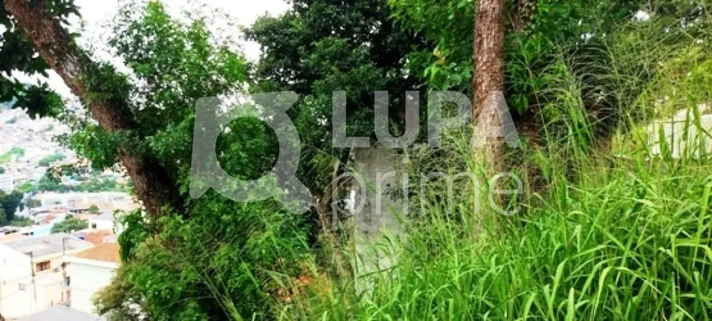 Terreno, 204 m² - Foto 6