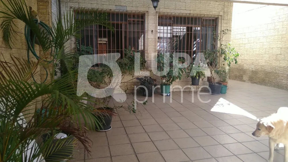 Casa, 3 quartos, 167 m² - Foto 1