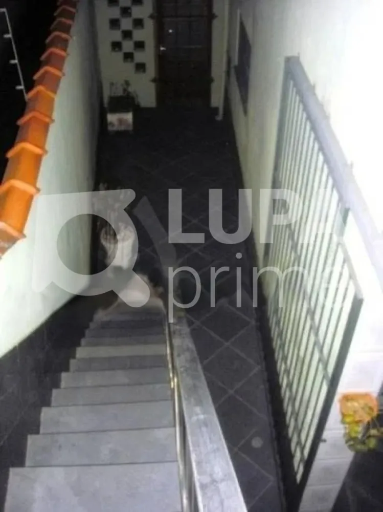 Casa, 3 quartos, 127 m² - Foto 12