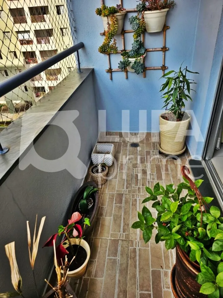 Apartamento, 3 quartos, 80 m² - Foto 16