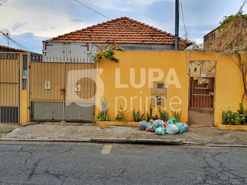 Casa, 2 quartos, 550 m² - Foto 3
