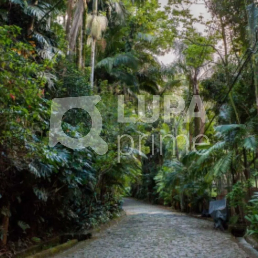 Chácara, 5 quartos, 3000 m² - Foto 2