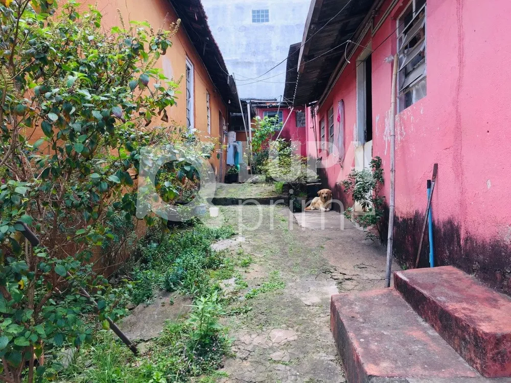 Casa, 6 quartos, 300 m² - Foto 4