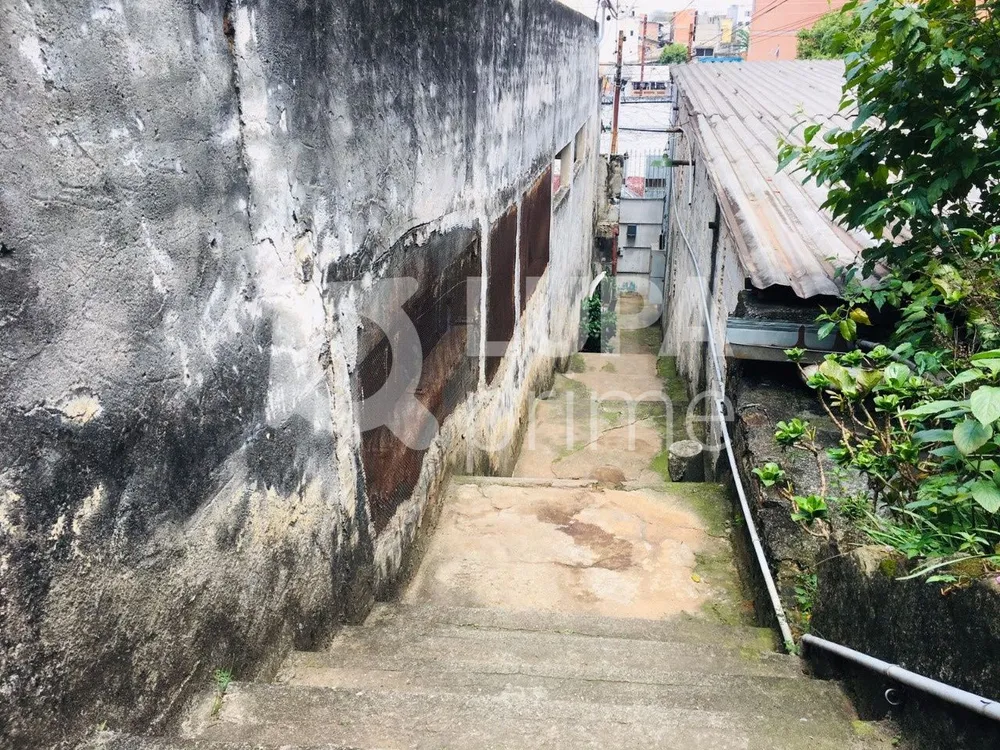 Casa, 6 quartos, 300 m² - Foto 7