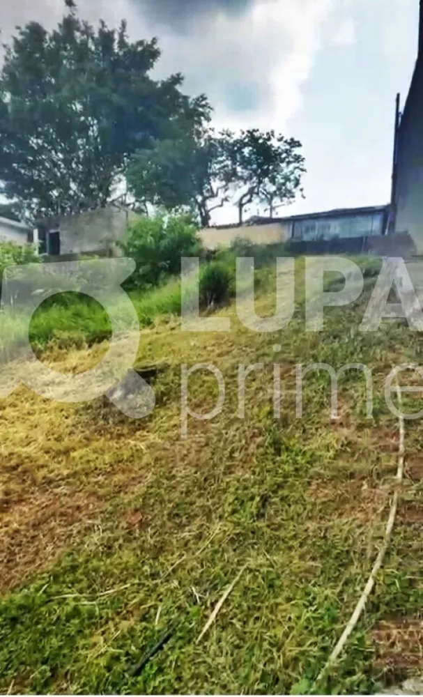 Terreno, 540 m² - Foto 4