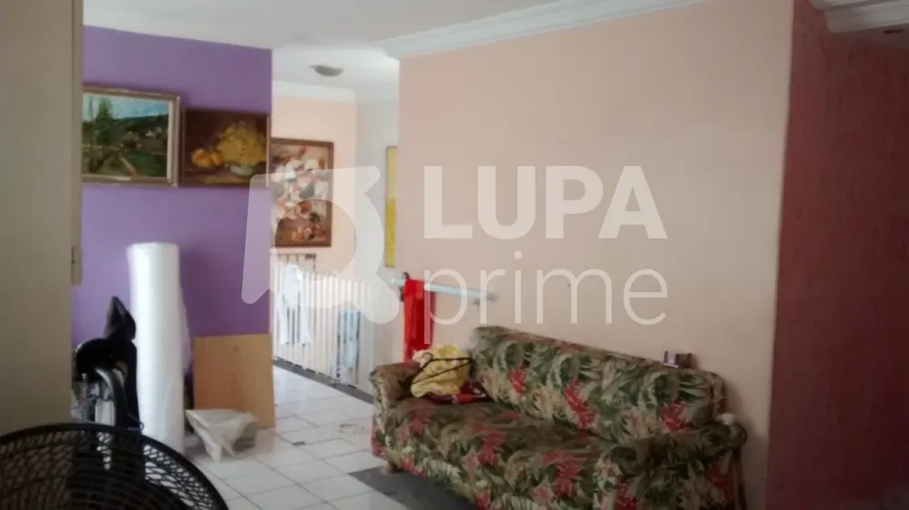 Casa, 4 quartos, 260 m² - Foto 4