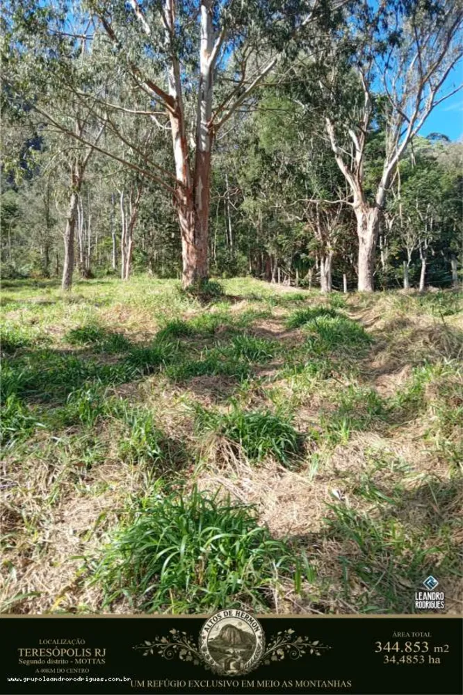 Terreno, 34 hectares - Foto 14