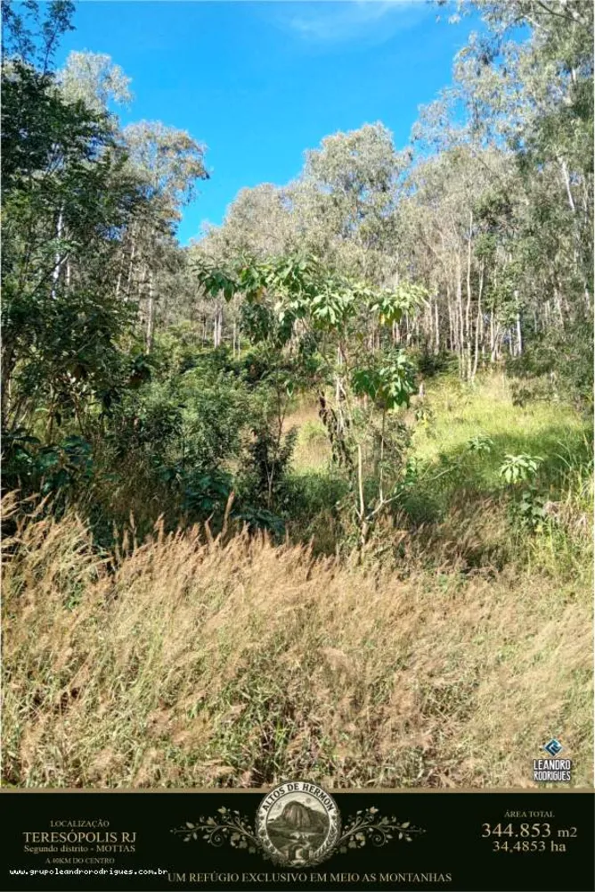 Terreno, 34 hectares - Foto 12