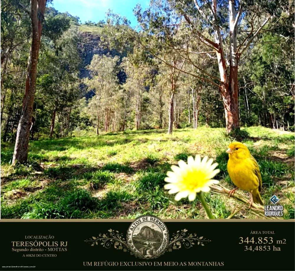 Terreno, 34 hectares - Foto 2