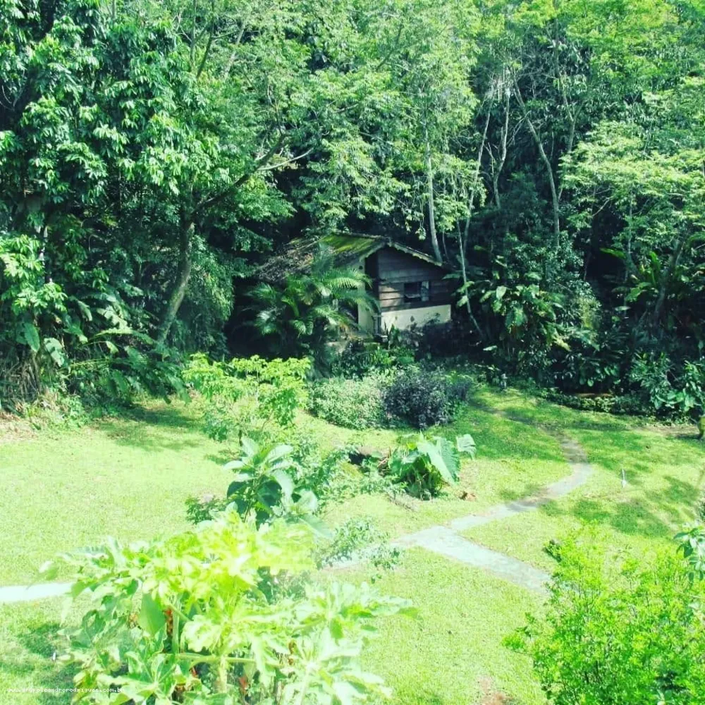 Fazenda, 1 hectares - Foto 12