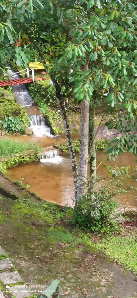 Fazenda, 1 hectares - Foto 9