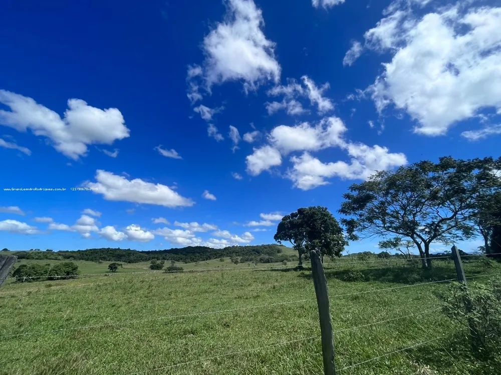 Terreno, 249 hectares - Foto 19