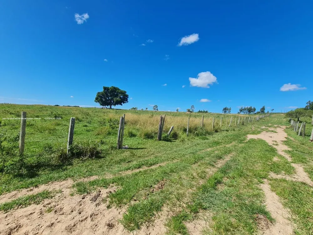 Terreno, 249 hectares - Foto 37