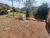 Terreno, 1381 m² - Foto 2