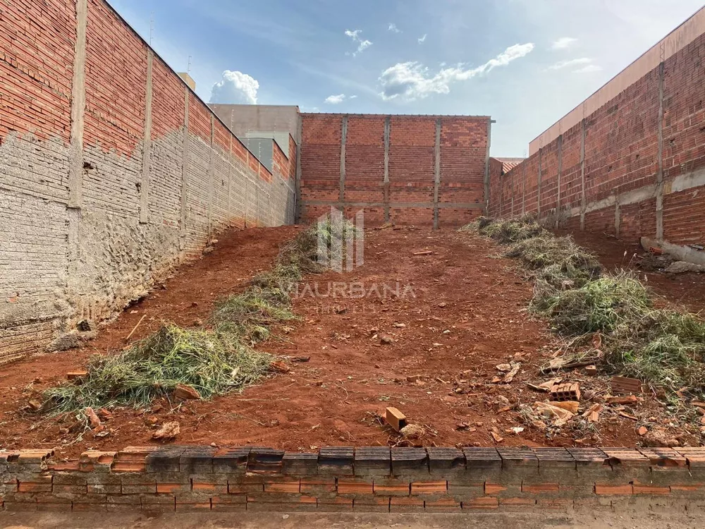 Terreno à venda, 250m² - Foto 2