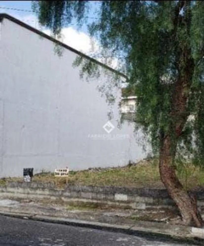 Terreno, 250 m² - Foto 3