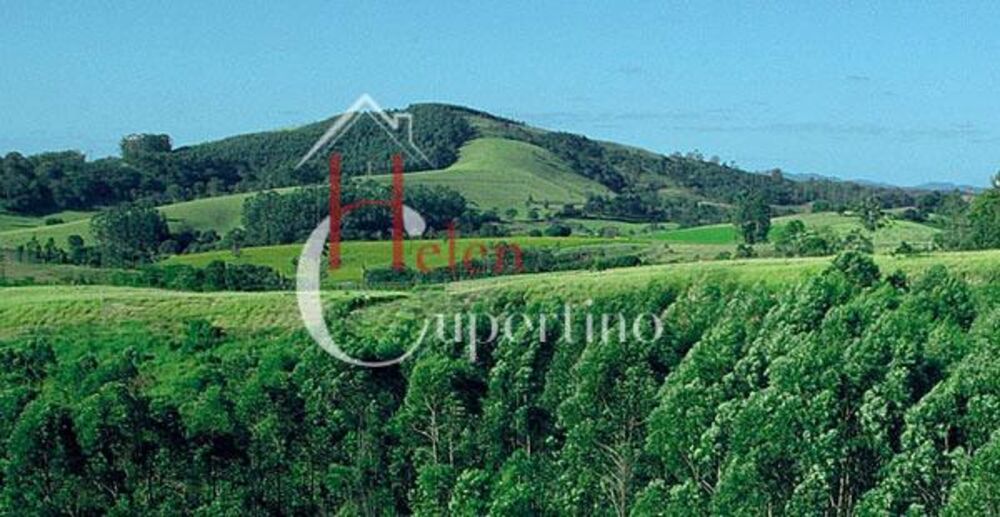 Casa de Condomínio à venda com 5 quartos, 434m² - Foto 10