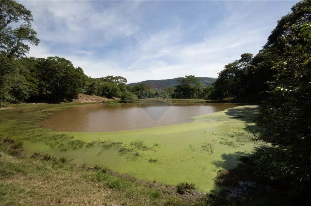 Fazenda à venda com 8 quartos, 82000m² - Foto 2