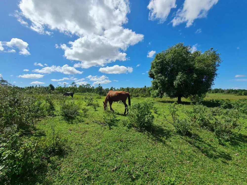 Fazenda, 5 quartos - Foto 7